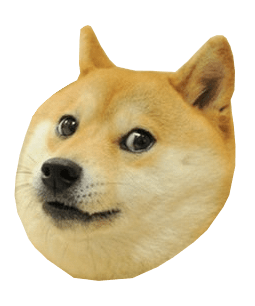 Doge